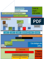 Plan de Manejo