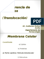 Translocacion