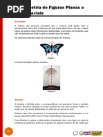 Simetria de Figuras Planas e Espaciais