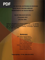 Download Diabetes Mellitus en Honduras by Luis Daniel Valladares Vijil SN34917022 doc pdf