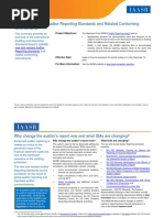 Audit Reporting-At A Glance-Final USE ME PDF