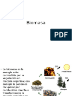 06 biomasa