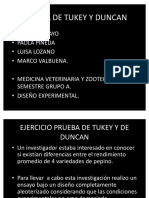 Diseno Duncan Tukey Trabajo Terminado PDF