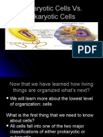 Prokaryotic vs. Eukaryotic Cells: Key Differences