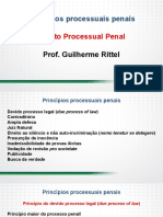 Aula 01 - Princpios Processuais Penais