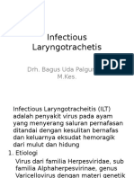 Infectious Laryngotrachetis (ILT)