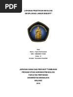 Download 326097780-Mikologi-jamur-endofitdocx by Ariani Nurul SN349203089 doc pdf