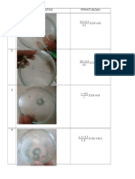 Data Jamur Antagonis Kelompok 2