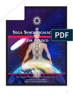 yoga synchrogalactica.pdf