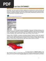 Manual Datamine Estudio 5 RM | PDF | Estadísticas | Minería
