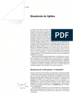Sintesis de Lipidos PDF