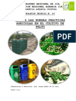 BUENAS PRACTICAS EN EL CULTIVO DE PALTO.pdf