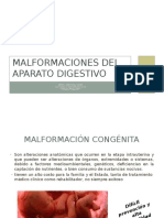 Malformaciones Del Aparato Digestivo