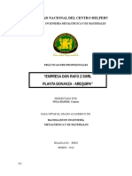 Informe de Practicas Empresa Minera Don Rafo II Caraveli Arequipa