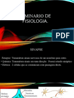 2 Seminario de Fisio