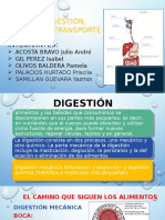 digestión-absorción-y-transporte-1.pptx