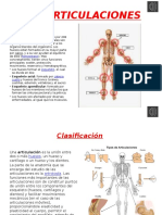 Anatomia