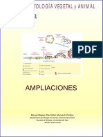 Cohesinas y Condensinas Universidad de Vigo 2015