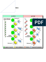 Estructura Química