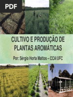 CULTIVOEPRODUCAODEPLANTASAROMATICAS