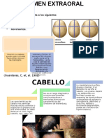 Examen extraoral de cabeza y cuello