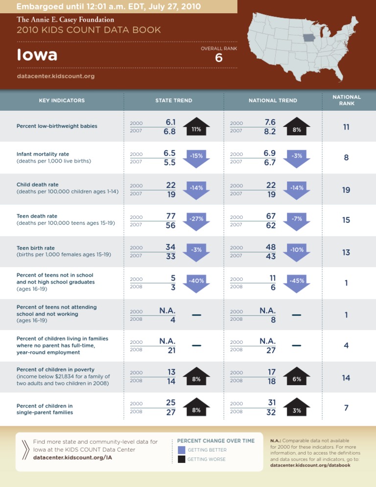 Iowa Profile | PDF | Single Parent | Infant Mortality