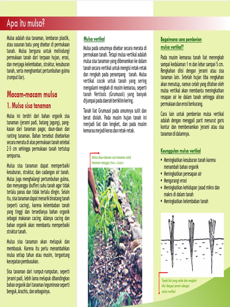 Jurnal Mulsa
