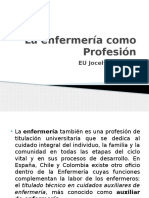 La Enfermería Como Profesión