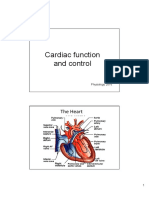 Cardiac Function and Control: The Heart