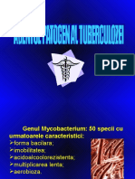 Curs 1 Tuberculoza