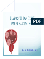 Management of Bladder Cancer PDF