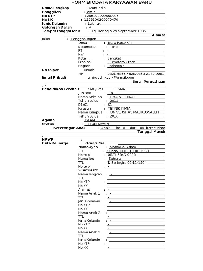40+ Format Biodata Lengkap Images