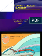 Anatomi Dan Fisiologi Glaukoma