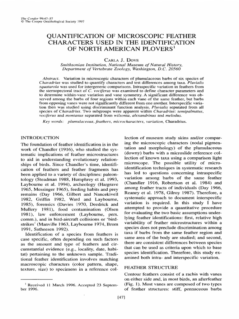 Microscopic Feather Analysis of Plovers | PDF | Feather | Anatomical ...