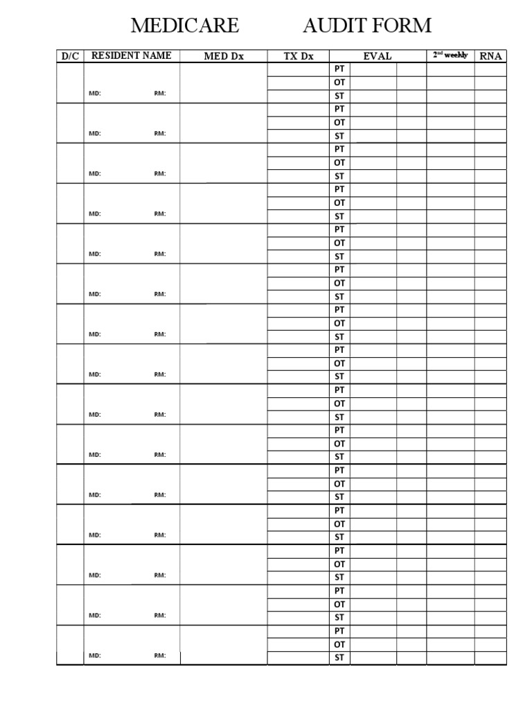 Medicare Audit Form Template | PDF