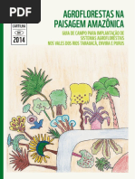 Agroflorestas Na Paisagem Amazônica