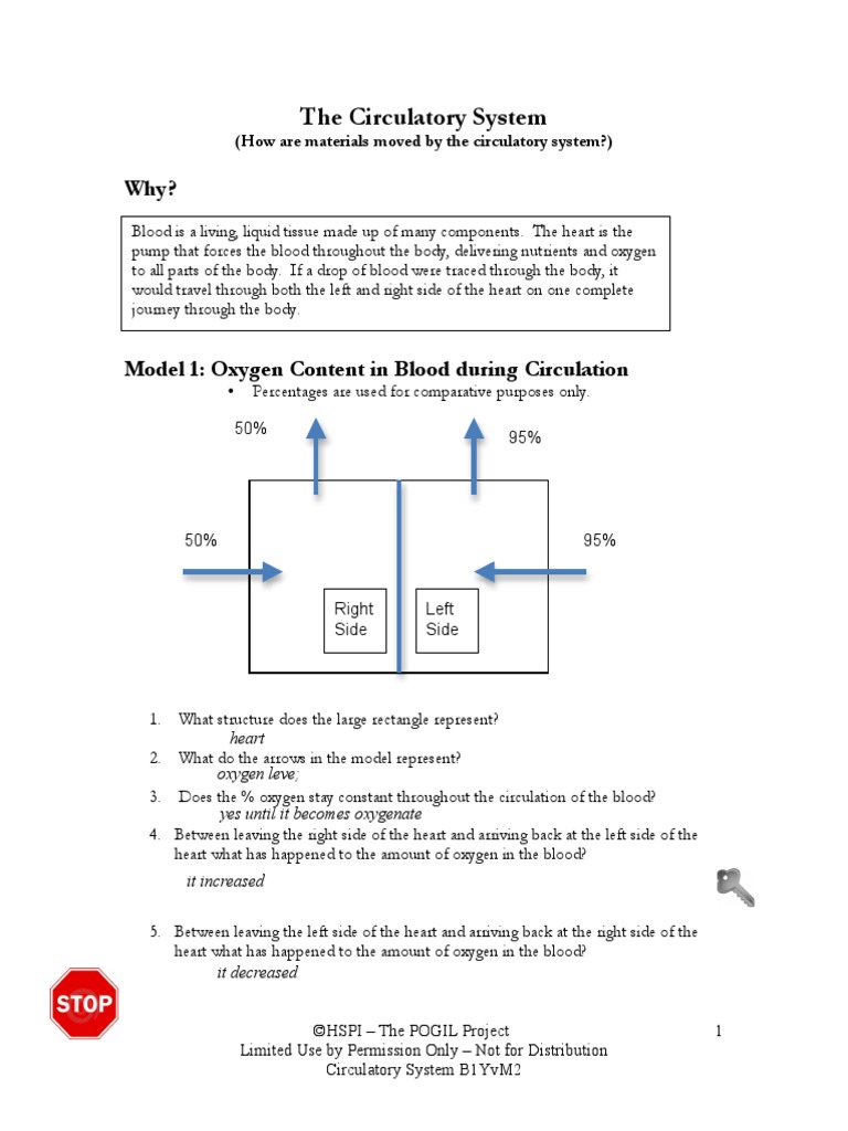 Circulatory Pogil Student 17 Circulatory System Blood