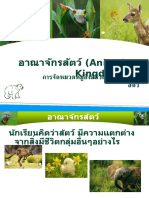 สื่อการสอนเรื่องอาณาจักรสัตว์ (Animal Kingdom)