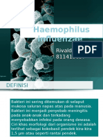 Hemophilus Influensa