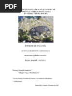 Download Hbitos Alimenticios de Juveniles de Tortuga Verde Chelonia mydas en La Coronilla Rocha Uruguay by Karumb SN3493120 doc pdf