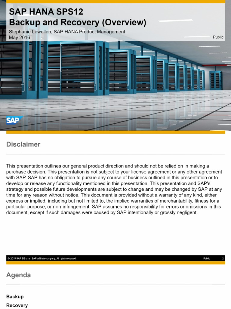 SAP HANA Backup and Recovery (Overview) | PDF