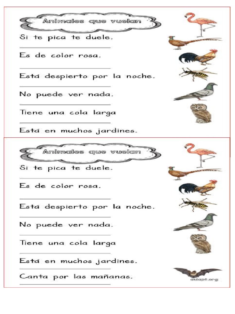 Animales Que Vuelan Mire | PDF