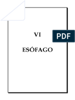 Vi - Esófago