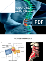 62199060-anatomia-lumbopelvica-1.pdf