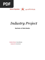 industryproject docx  1 