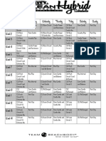 Insanity Chalean Extreme Hybrid Schedule PDF