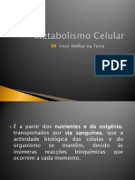 Metabolismo Celular