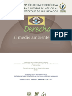 PUDH-UNAM-CNDH Derecho al Medio Ambiente Sano