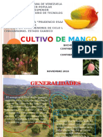 El Mango, Exposicion