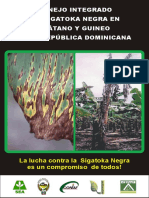 Sigatoka Negra2.Cdr